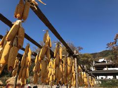 -塔川景区