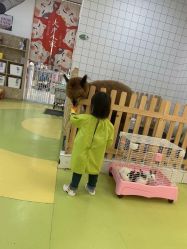 -萌宠家互动乐园