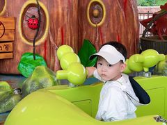 -沈阳方特欢乐世界