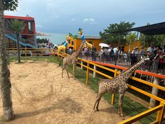 -西霞口神雕山野生动物世界