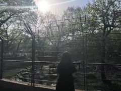 -上海动物园(地铁站)