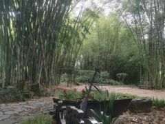 -望江楼公园