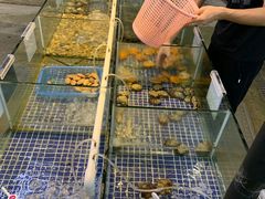 -庆余生平价生猛海鲜(海棠湾林旺夜市店)