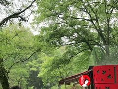 -茶颜悦色(岳麓山顶店)