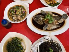 -大树下海鲜饭店