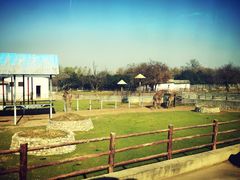 -西安秦岭野生动物园