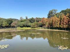 -广州市白云山风景名胜区