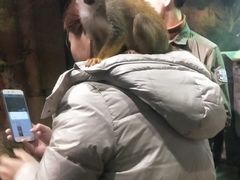 -萌宠奇缘