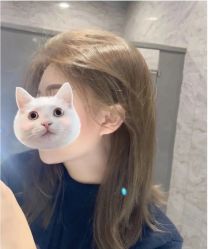 -菲·木田moontin造型salon