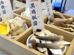 -阿婆情腊排骨火锅(金虹路店)