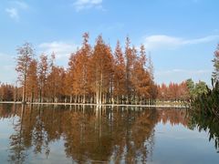 -白鹭湾湿地公园