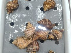 -川林海鲜酒家·湾仔传统早茶·粤菜