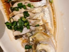 -金美华轩(东方路齐鲁店)
