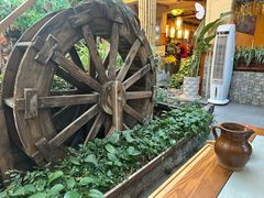 -大理董·董家小厨野生菌火锅(古城旗舰店)