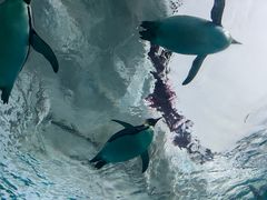 -珠海长隆海洋王国