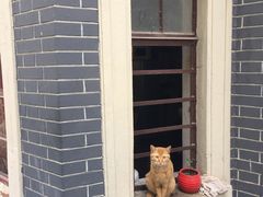 -丰裕里