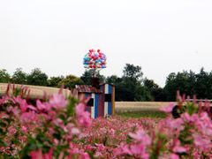 -江苏三台山国家森林公园