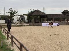 -松声马术俱乐部