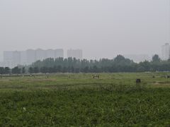 -汉长安城未央宫国家考古遗址公园