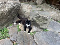 -庐山风景区花径公园