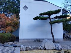 -香山公园