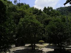 -幕燕滨江·长江观音景区