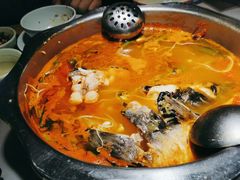 -亮欢寨快活林 酸汤鱼(仁怀店)