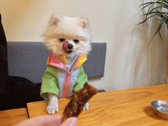 -小意思咖啡店(草桥店)