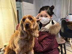 -萌喵宠狗爱心宠咖