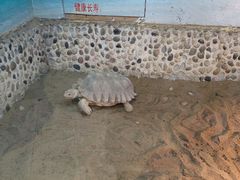-上海大自然野生昆虫馆(东方明珠·爬宠昆虫探索中心)