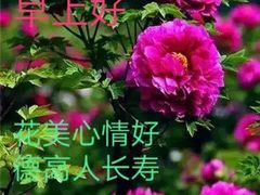 -一家人(凯旋路店)