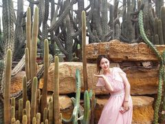 -南通洲际绿博园