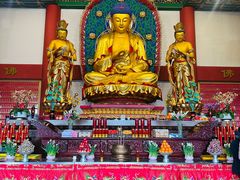 -上海东林寺(金山区)