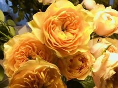 -荷兰布尔玛国际花艺学院