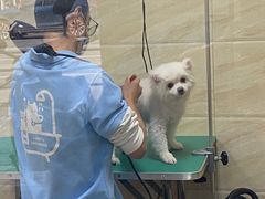 -安安宠医·安宠宠物医院