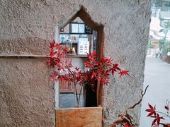 -中8楼风尚云南菜(颐堤港店)