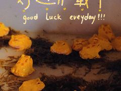 -华声天桥民俗文化园