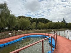 -上海鲜花港