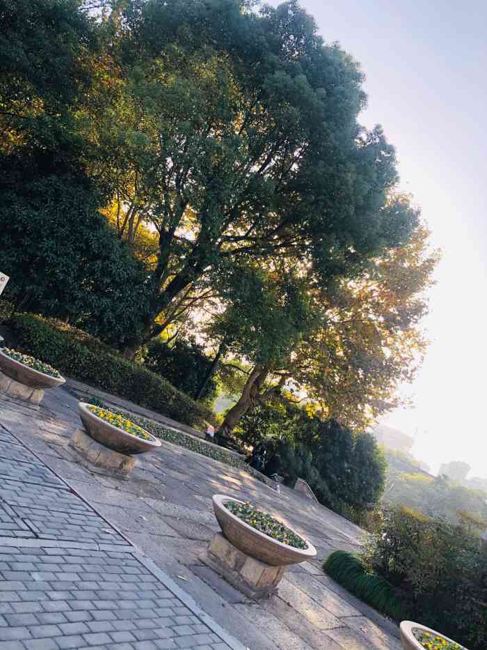 青莎公园特别适合吃过饭来溜溜食儿