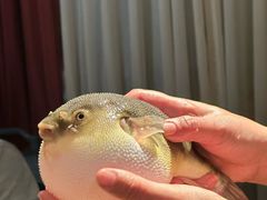 -永安鱼庄·镇江菜(丁卯店)