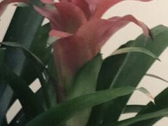 -招商银行(北京三里屯支行)