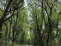景点-虞山风景区