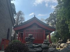 -北京动物园-畅观楼