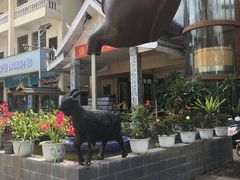 -傣家黑山羊汤锅(告庄店)