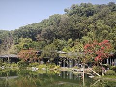 -云溪植物园