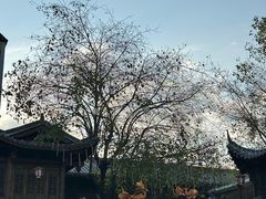 -坂田手造文化街