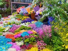 -朝来春花卉市场