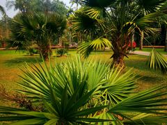 -中国科学院西双版纳热带植物园