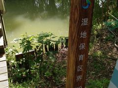 -同里国家湿地公园