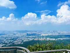 -紫金山山顶公园